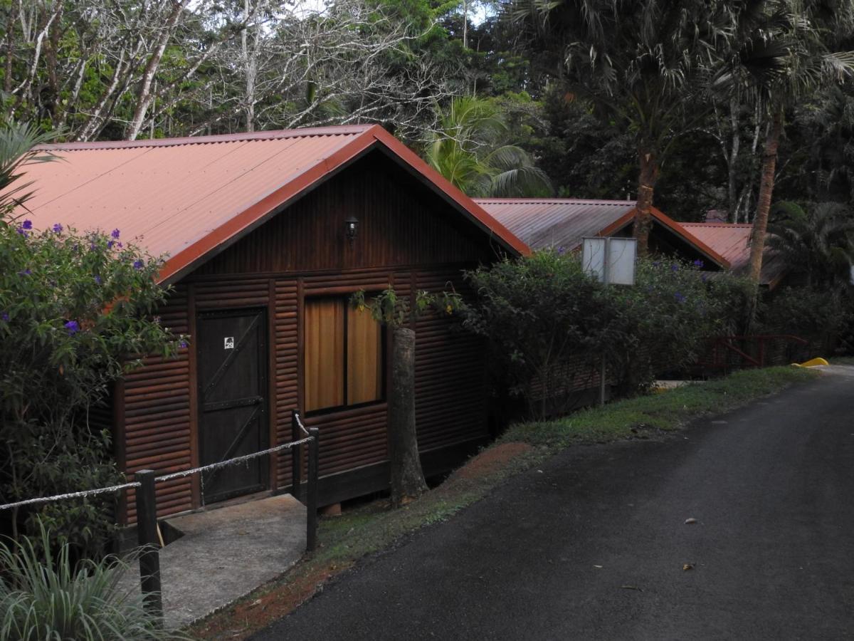 Hotel Pedacito De Cielo Boca Tapada Екстериор снимка